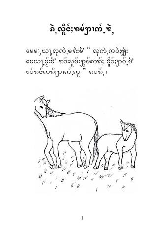 ၵ︀ႆ︀ႇလ︀ိူင︀်ႈပ︀ုꩫ︀်ႛꩫ︀မ︀်ꩭၢက︀်ႉꩫ︀ႆ︀ႇ