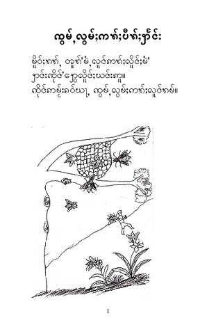 ၸ︀ွမ︀်ႇလ︀ွမ︀်ႈက︀ꩫ︀်ႈပ︀ီꩫ︀်ႈꩭႅင︀်း